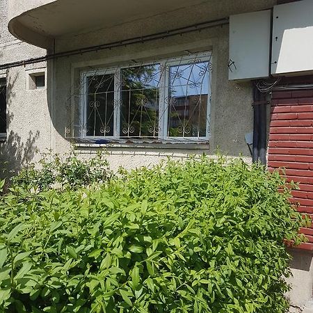 Apartamente Marian ブラショフ 部屋 写真