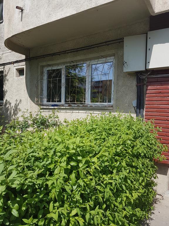 Apartamente Marian ブラショフ 部屋 写真